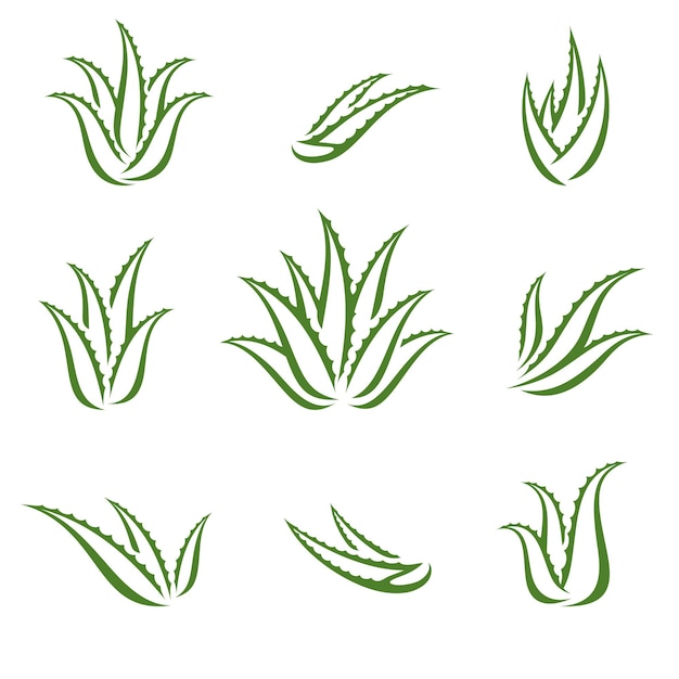 Aloe Vera conjunto ícone de coleção Aloe Vera Vector