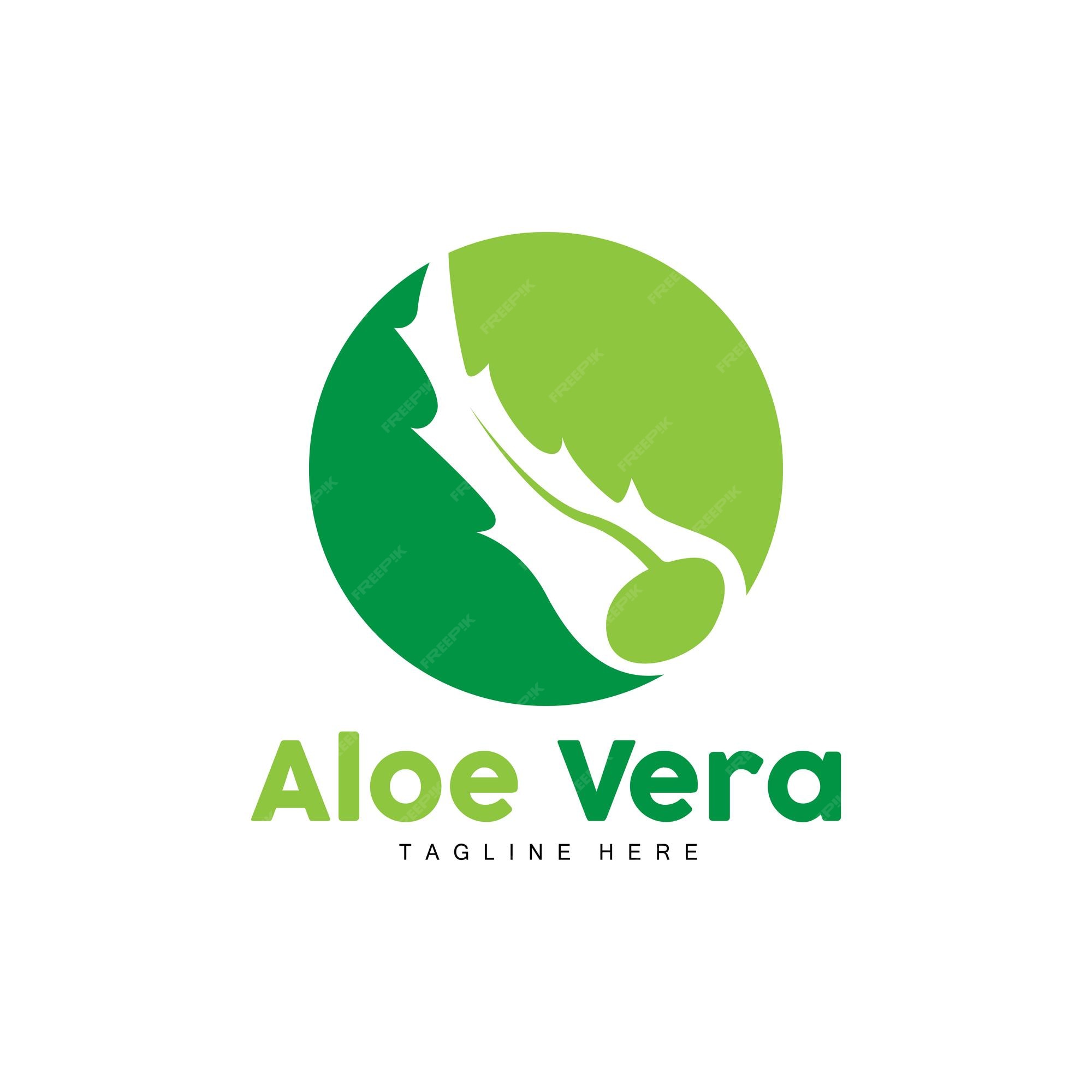 Aloe vera logotipo planta verde projeto de saúde ilustração vetorial  símbolo