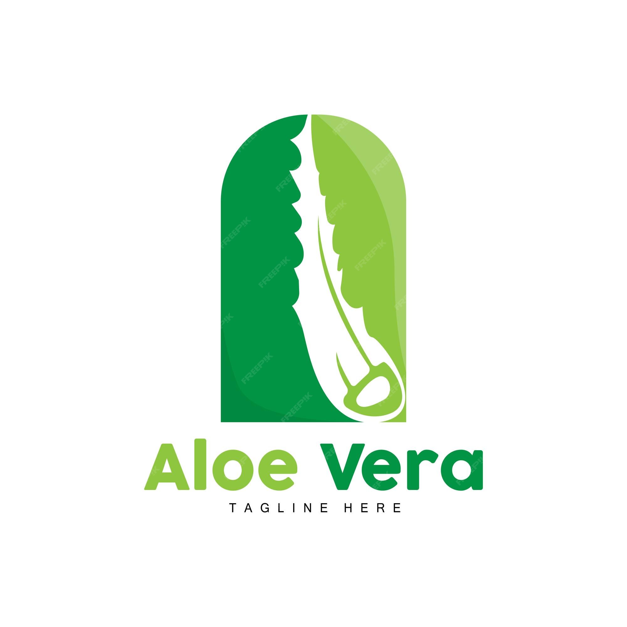 Aloe vera logotipo planta verde projeto de saúde ilustração vetorial  símbolo