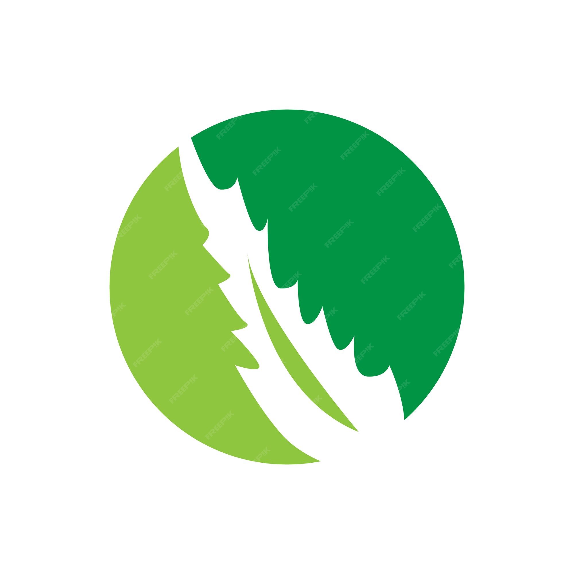 Aloe vera logotipo planta verde projeto de saúde ilustração vetorial  símbolo