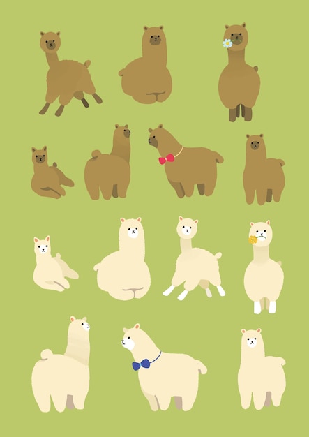 Alpaca, um animal bonito.