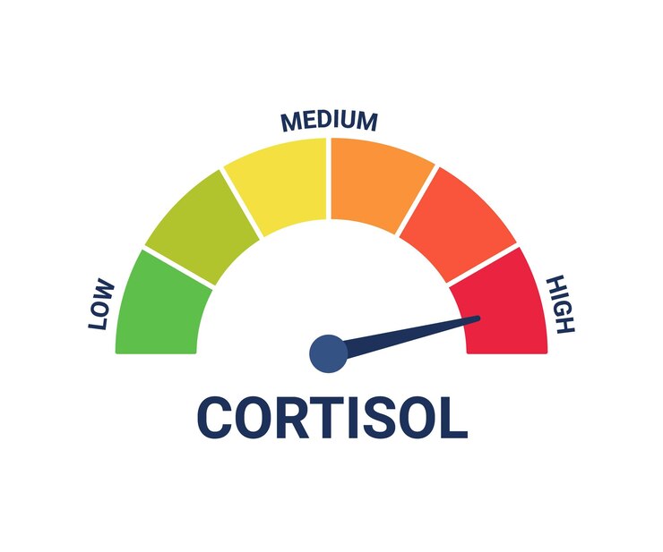 Vetor alto nível de hormônio cortisol no teste de estresse de escala de medição controle de cuidados de saúde, seguro. nível de cortisol