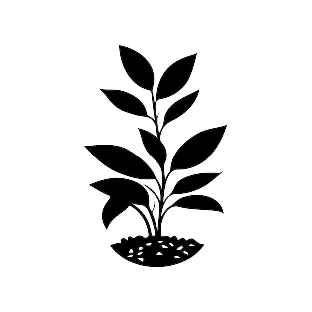 Vetor amborella icon desenho à mão plantas de cor preta elemento vetor logotipo e símbolo