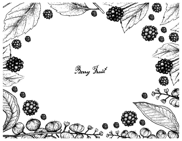 Vetor american beautyberry e american pokeweed
