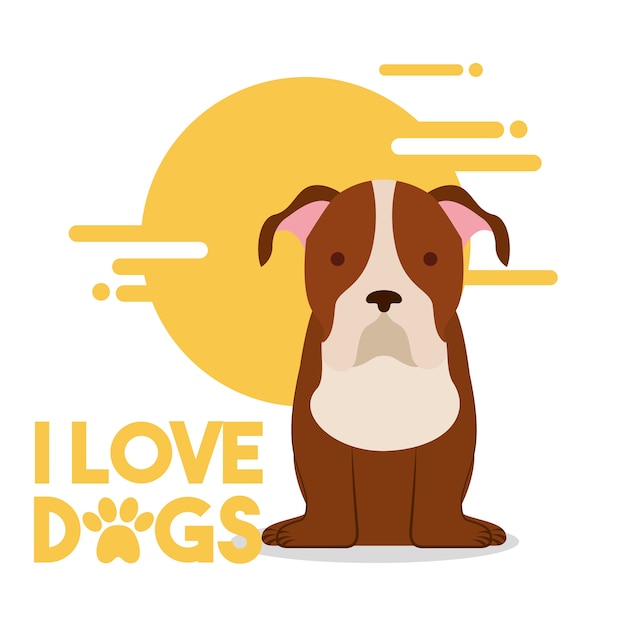amor cão sentado animal doméstico