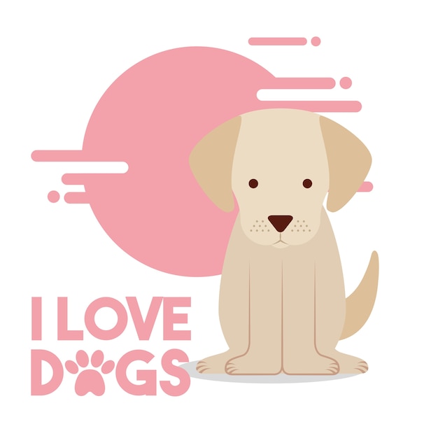 amor cão sentado animal doméstico