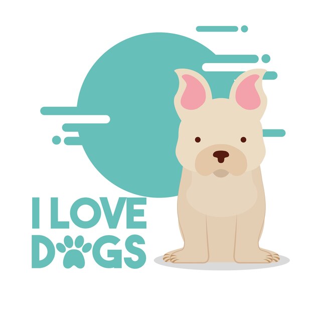 amor cão sentado animal doméstico