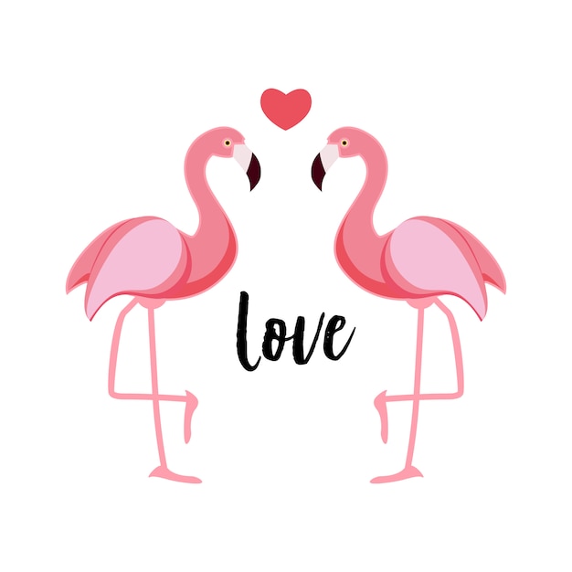 Amor flamingo bonito