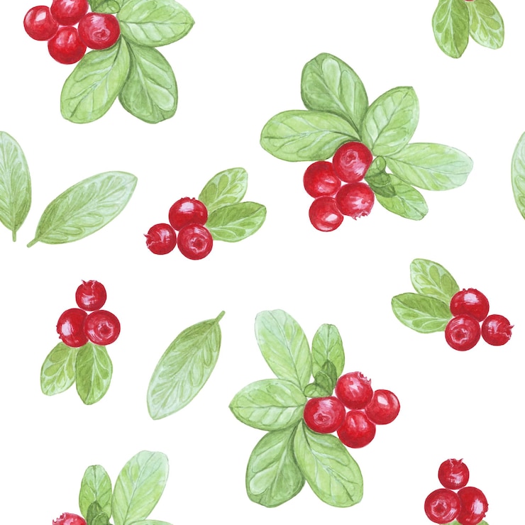 Vetor amora de frutas vermelhas da floresta sem costura com folhas isoladas no fundo branco