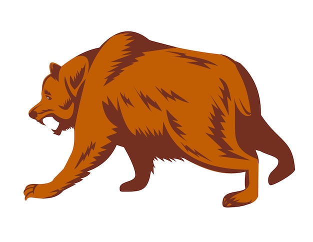 Vetor angry grizzly bear ou north american brown bear prestes a atacar o lado retro woodcut style