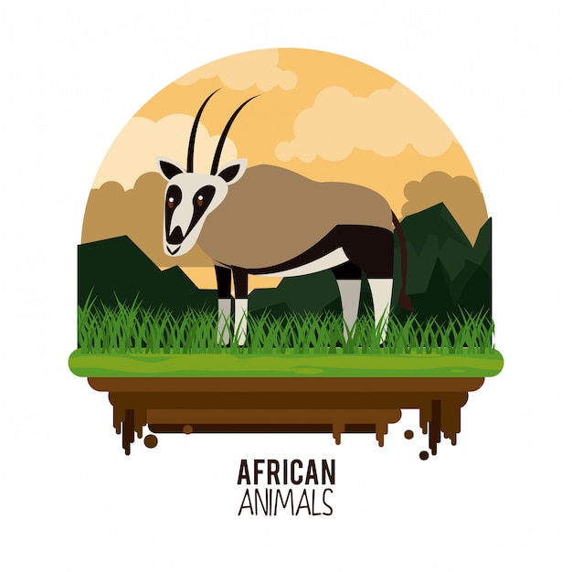 Vetor animais africanos dos desenhos animados