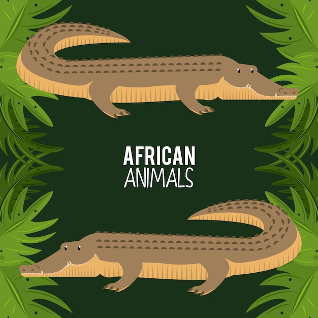 Vetor animais africanos dos desenhos animados