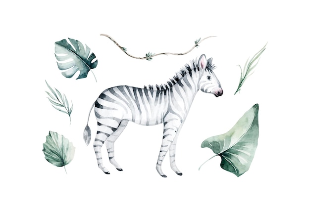 Vetor animais africanos em aquarela zebra e folhas tropicais isoladas em um fundo branco fauna e flora da decoração da savanna jungle