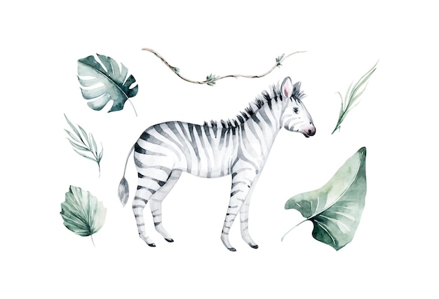 Animais africanos em aquarela zebra e folhas tropicais isoladas em um fundo branco fauna e flora da decoração da savanna jungle