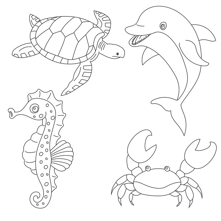 Vetor animais aquáticos set de clipart de vida marinha e criaturas oceânicas