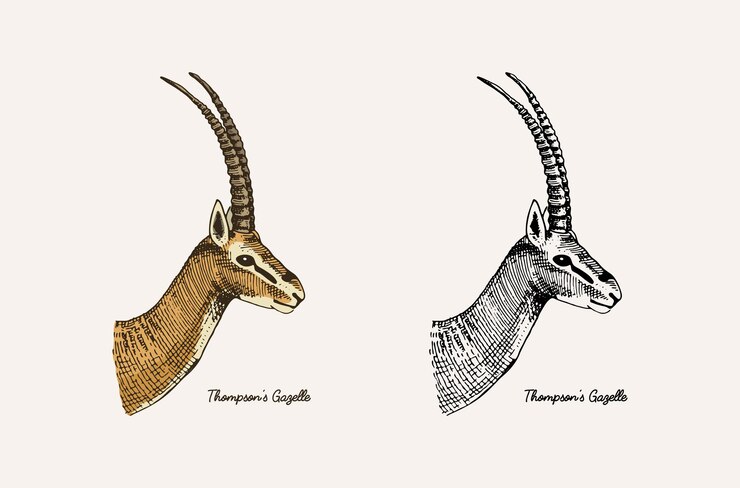 Vetor animais com chifres e chifres impala gazela e gamo kudu