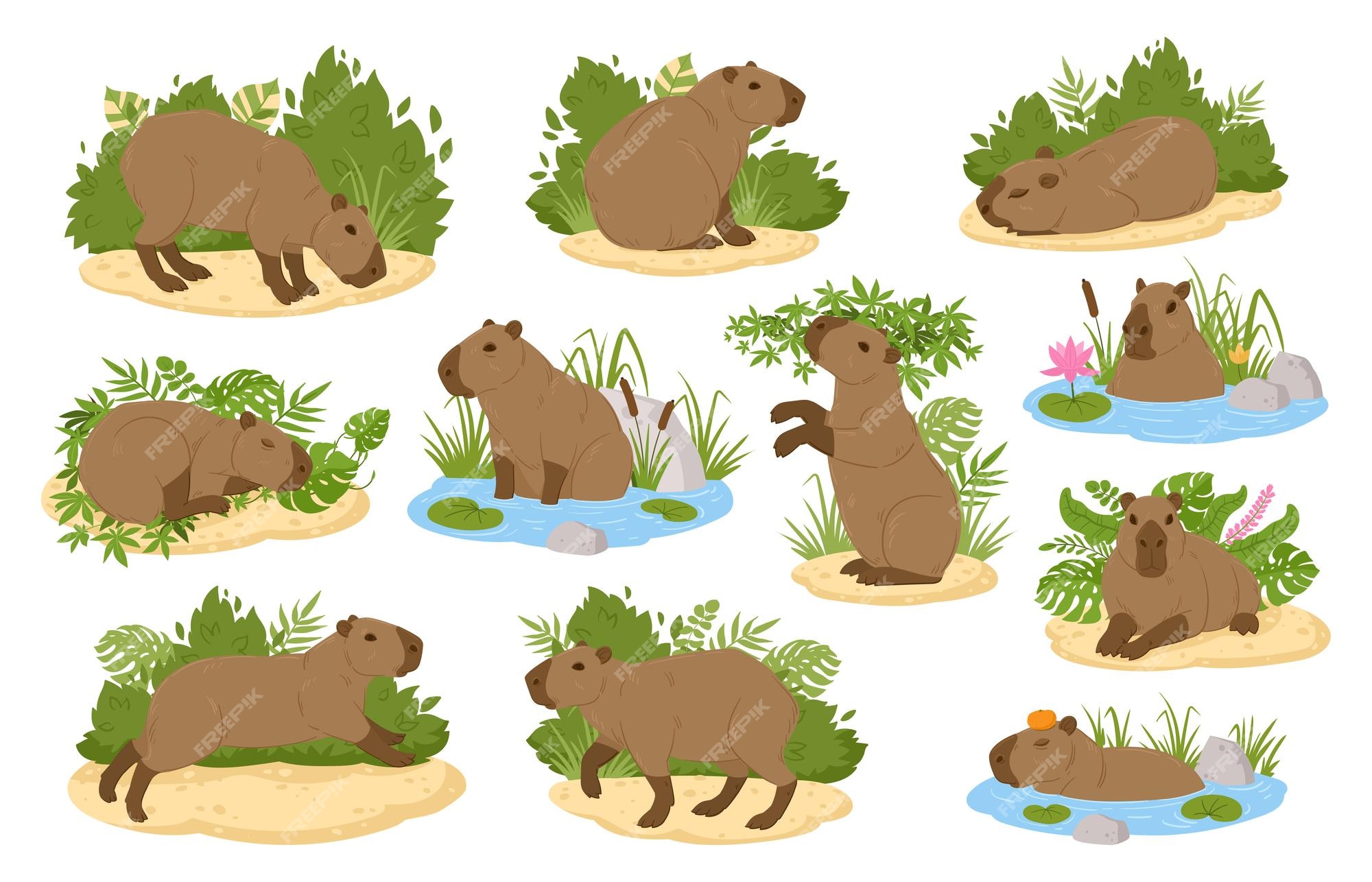 Capivara de desenho animado capivaras fofas animais selvagens