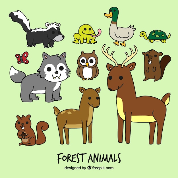 Animais da floresta dos desenhos animados