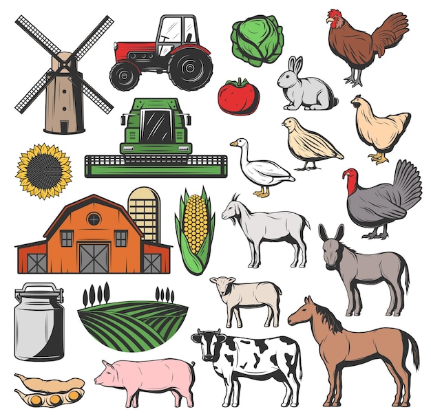 Animais de fazenda de gado e colheita agrícola