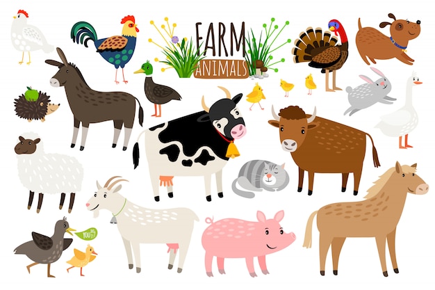 Animais de fazenda