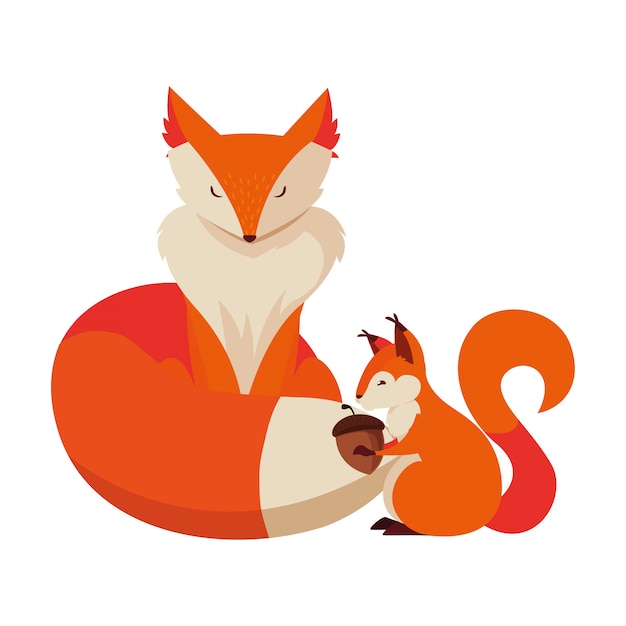 Animais de raposa e esquilo
