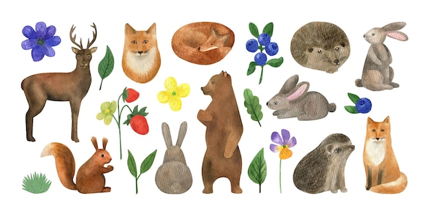 Animais desenhados à mão em aquarela ouriço lebre esquilo raposa urso com flores de verão e bagas
