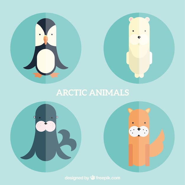Animais do ártico em design plano