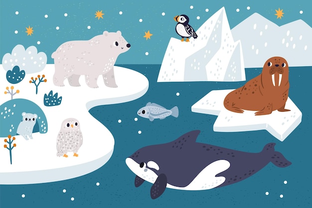 Vetor animais do ártico paisagem oceânica do norte com personagens da vida selvagem permafrost continente coruja polar e urso branco nadar baleia assassina morsa e papagaio-do-mar em blocos de gelo conceito de vetor