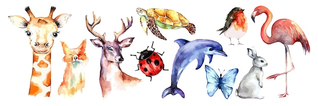 Animais fofos em aquarela e insetos ou conjunto de vetores de pássaros animais selvagens em aquarela desenhados à mão papel de parede ou fundo para crianças livro de colorir e jardim de infância jardim zoológico ou floresta