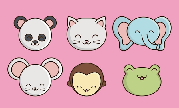 Animais fofos