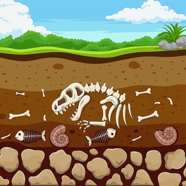 Animais fósseis de desenho animado com espinha e concha de dinossauro