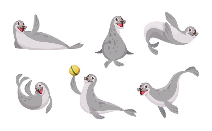 Vetor animais marinhos foca polar em ação posa animal selvagem antártico conjunto de desenhos animados vetoriais exatos