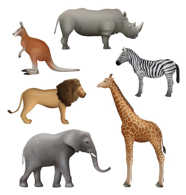 Animais selvagens realistas Elefante canguru leão zebra rinoceronte coleção de safári africano coleção decente ilustração vetorial