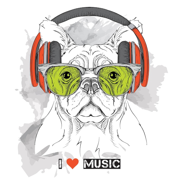 Animais usando música de fones de ouvido