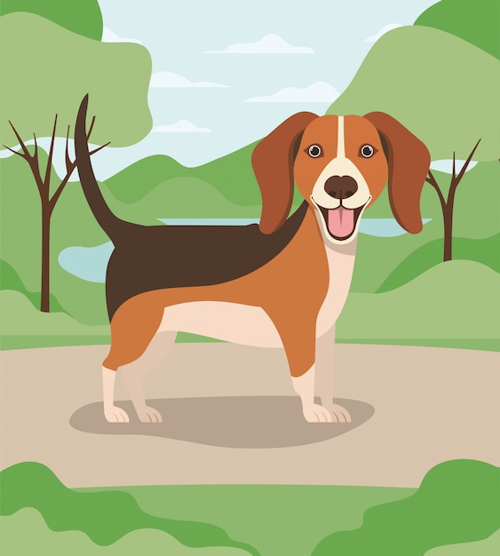 Vetor animal de estimação bonito cachorro beagle no acampamento