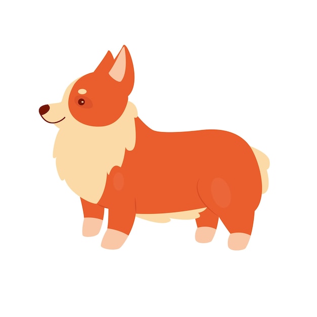 Animal de estimação bonito cão corgi