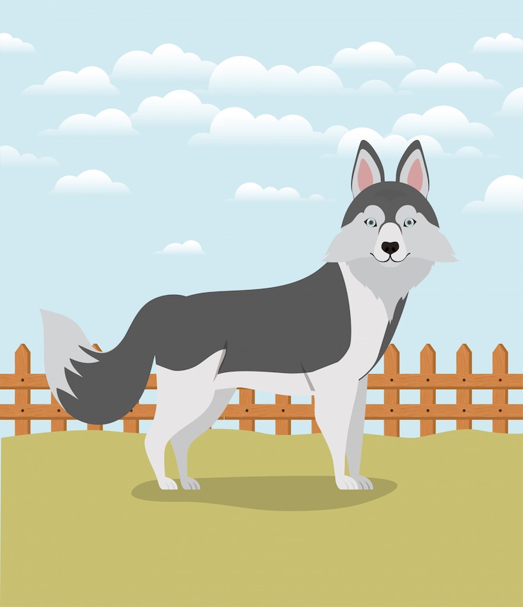Vetor animal de estimação bonito cão huski siberiano no acampamento