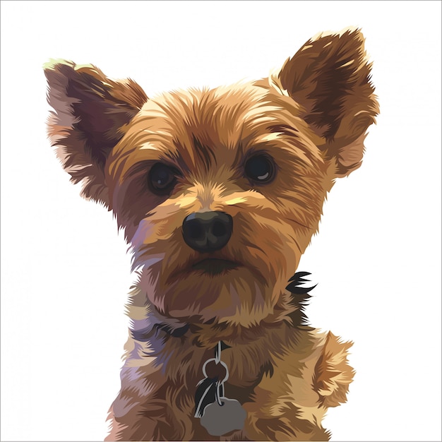 Animal de estimação bonito pintado
