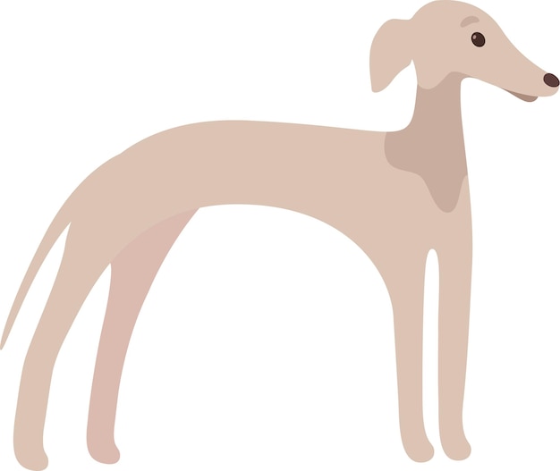 Animal de estimação cão galgo