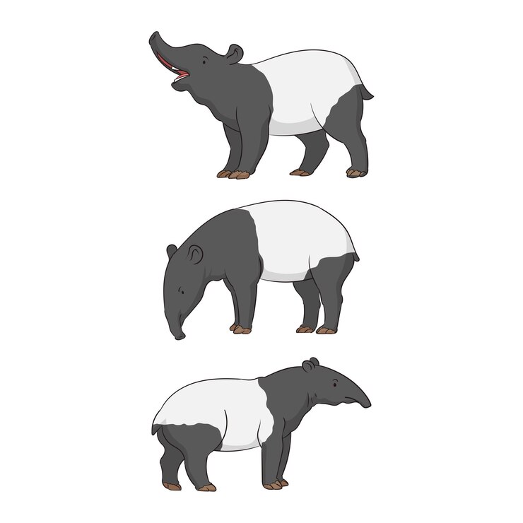 animal de tapir desenhado à mão