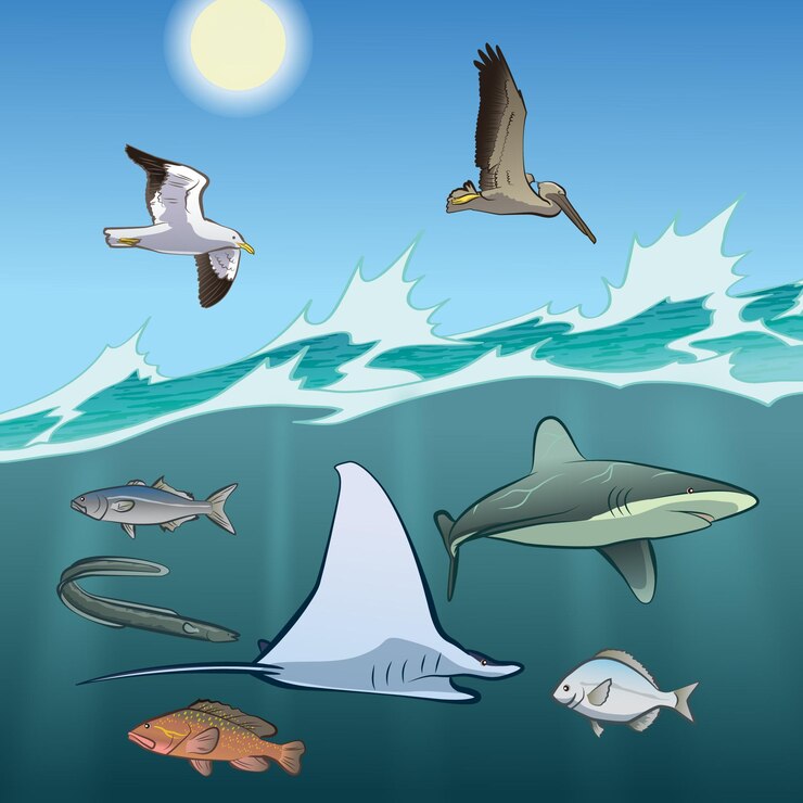 Animales Marinos
