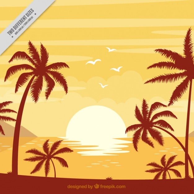 Vetor antecedentes da praia com palmeiras ao pôr do sol
