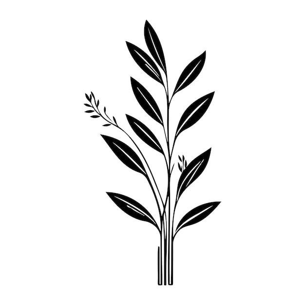 Vetor anthericum icon desenho à mão de cor preta logotipo de folha de planta símbolo perfeito