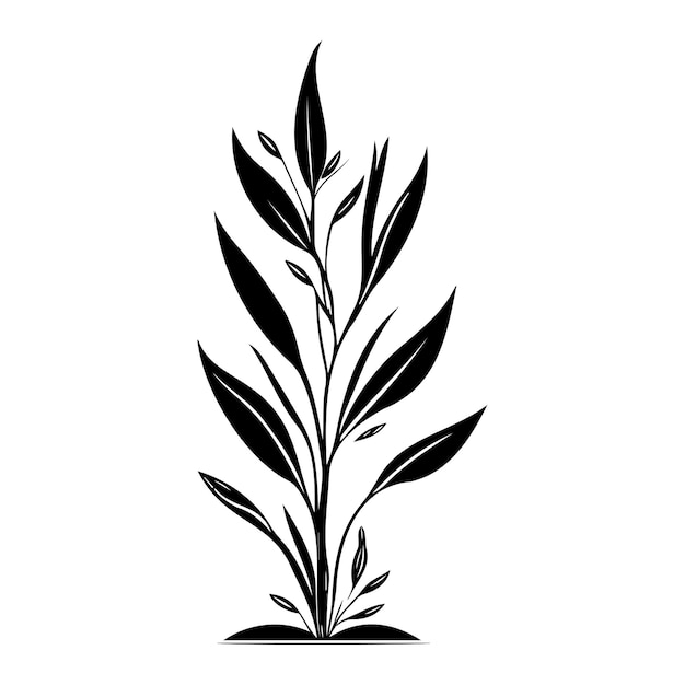 Vetor anthericum icon desenho à mão de cor preta logotipo de folha de planta símbolo perfeito