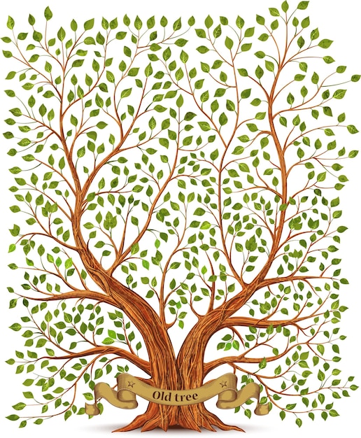 Antiga ilustração vetorial de árvore vintage