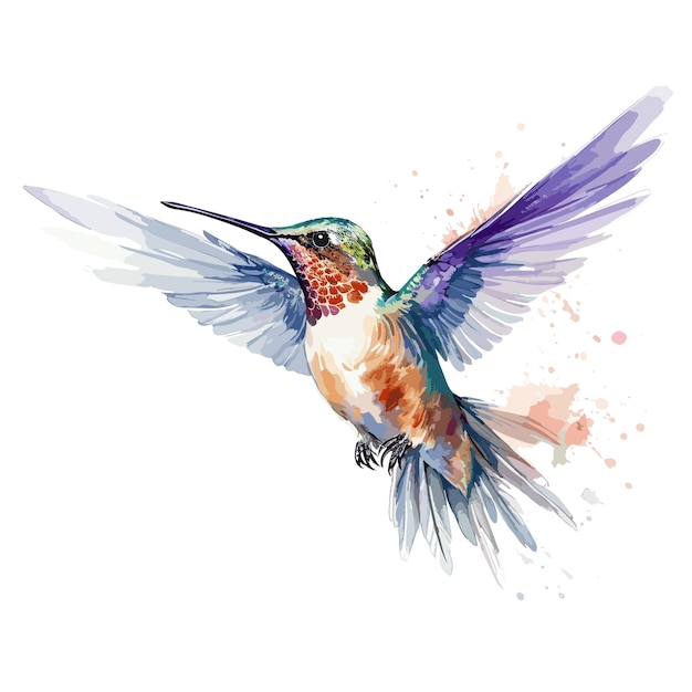 aquarela beija-flor e flor