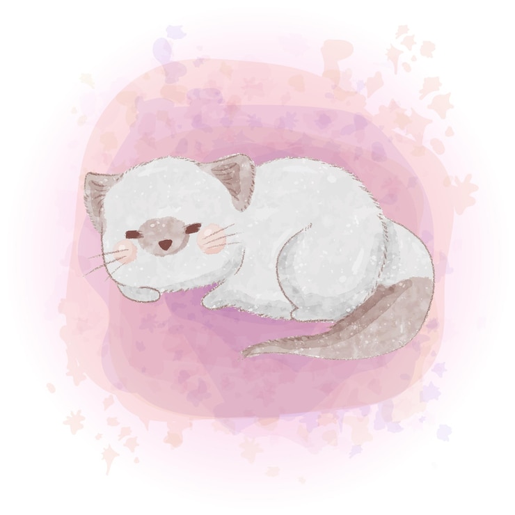 Vetor aquarela bonito gato siamês ilustração 07