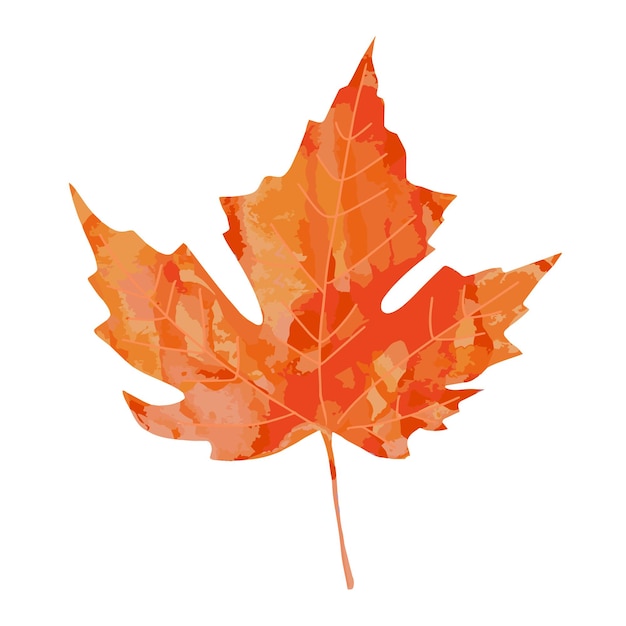 Aquarela brilhante pintada ilustração em vetor folha de bordo aquarela vermelha laranja artística isolada no fundo branco. elemento de folhas de outono para o projeto de outono.