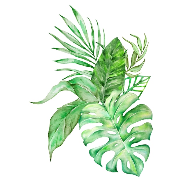 Vetor aquarela buquê de folhas tropicais brilhantes para design