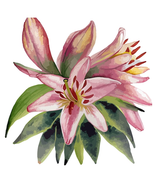 Aquarela buquê floral vintage tela floral aquarela